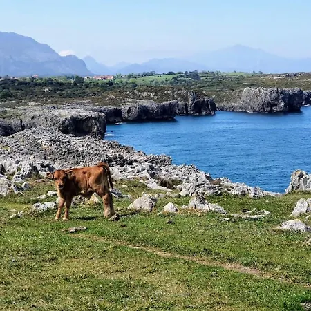 Casa Vacacional La Casa De Otto Villa *